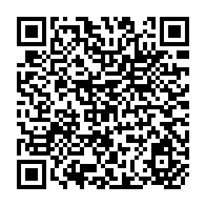 QR Code for Social Indicators of Development 1993