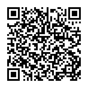 QR Code for The Dialectics of Liberation