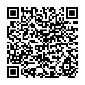 QR Code for Does Aid Work  in India?
