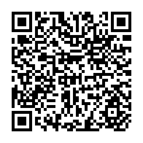 QR Code for Politics and Society in the Third World