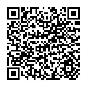 QR Code for Restructuring Economies in Distress Policy Reform and the World Bank