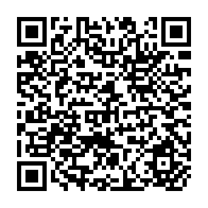 QR Code for Technical and Marketing Support Systems For Successful Small and Medium- Size Enterprises in Four Countries
