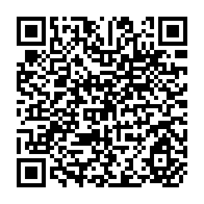 QR Code for Agriculture in Japan: Current issues and possible implications of the uruguay round agreement