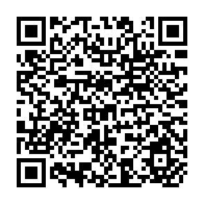 QR Code for Politics and Poverty