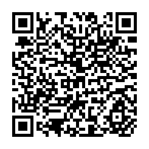 QR Code for Report of Special Session of the Intergovernemental Group on Citrus Fruit to the Committee on Commodity Problems