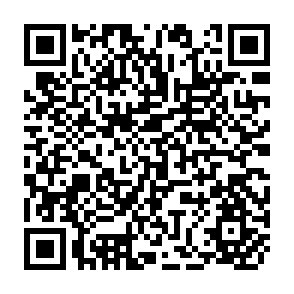 QR Code for Women and Adjustment Policies in the Third World