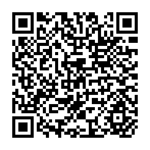 QR Code for Japanese Economic Development Theory and Practice