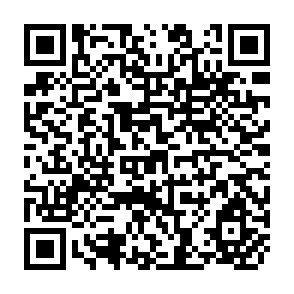 QR Code for Pricing Behavior In Phillippine Corn Markets: Implications For Market Efficiency