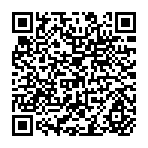 QR Code for Pricing Behavior In Phillippine Corn Markets: Implications For Market Efficiency