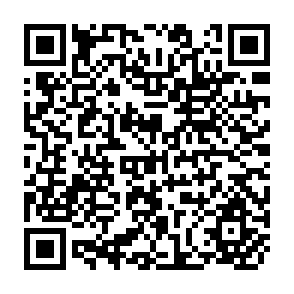 QR Code for Grundrisse: Foundations of the Critique of Political Economy