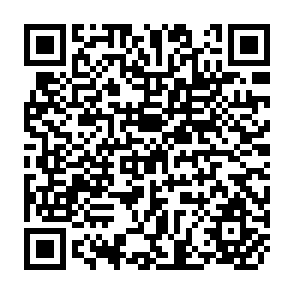 QR Code for Project Monitoring and Evaluation in Agriculture