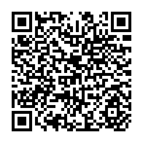QR Code for Guidelines for Incorporation of Social Dimensions in Bank Operations