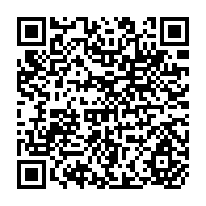 QR Code for Programming for Optimal Decisions