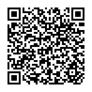 QR Code for Vital Signs 1992 : The Trends That Are Shapig our Future