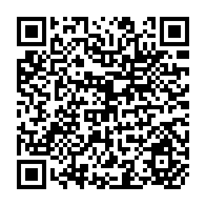 QR Code for Can Farmers Afford to use the Wells After Turnover? A Study of Pump Irrigation Turnover in Indonesia