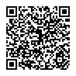 QR Code for Privatization of Irrigation Schemes in New Zealand