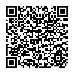 QR Code for Design and Operation of Irrigation Systems for smallholder agriculture in South Asia