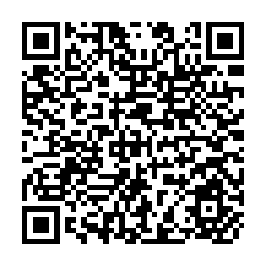 QR Code for The Progress of Nations