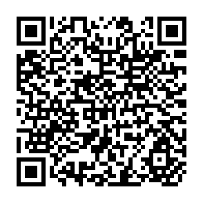 QR Code for Training Handbook on Export Documentation