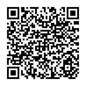 QR Code for The commonwealth Ministers Reference Book 1994/95