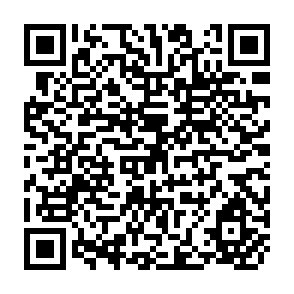 QR Code for Relative Efficiency of Alternative Dairy Marketing Systems in Addis Ababa, Ethiopia Based on Household Purchase Patterns