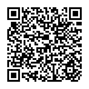 QR Code for Increasing the Benefits to Smallholders from Contract Farming: Problems for Farmers' Organization and Policy Makers