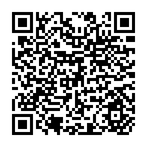 QR Code for Linking Adoption Studies and Priority Seting in Diary Research: A Planning Workshop