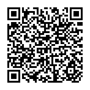 QR Code for The Context of Locally Managed Irrigation in Israel: Policies, Planning and Performance