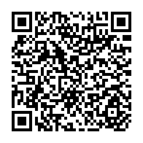 QR Code for A Forest Inventory of Ceylon