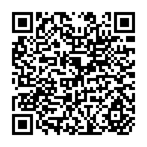 QR Code for Food Policy 1994 19(3)