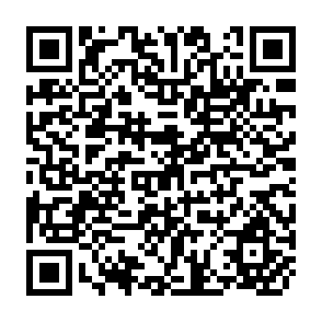 QR Code for Seed Regulatory Frameworks and Resource-Poor Farmers: A Litterature Review