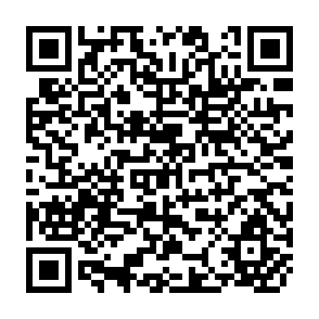 QR Code for From Marx to Mao Tse- Tung: A Study in Revolutionary Dialectics