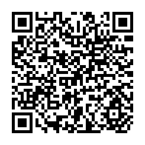 QR Code for Essays on Employment