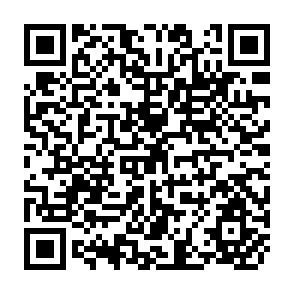 QR Code for Coping With Capital Surges : The Return of Finance to Latin America
