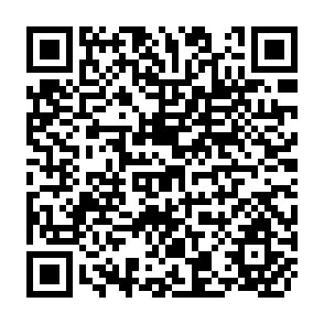 QR Code for Employment Policy, with Particular Reference to the Employment Problems of Developing Countries