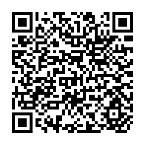 QR Code for Proceedings of the Workshop on the Impact of Structural Adjustment Policies on Small Scale Producers in South Asia