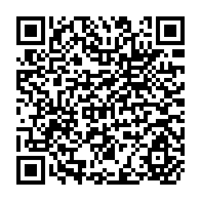 QR Code for Proceedings of the Workshop on the Impact of Structural Adjustment Policies on Small Scale Producers in South Asia