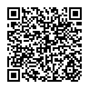 QR Code for Sources of Income Inequality and Poverty in Rural Pakistan