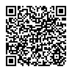 QR Code for The Economics and Politics of Food Policies