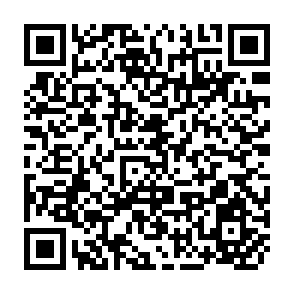 QR Code for The Impact of Changes in Government Policies on Economic Performance (the ARCH Model)
