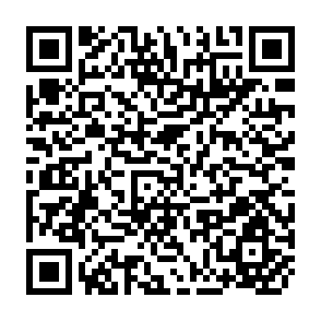 QR Code for Economic Factors in Farmer Adoption of Agroforestry: Patterns Observed in Western Kenya