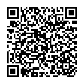 QR Code for Supporting Women Farmers In The Green Zones Of Mozambique