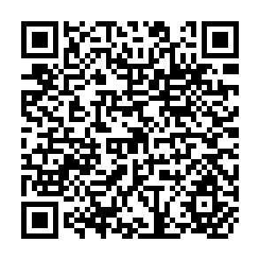 QR Code for The Other Policy : The Influence of Policies on technology choice and small enterprise development