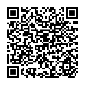 QR Code for Evolution and Implications of Decreased Public Involvement in Minor Irrigation Management in Bangladesh