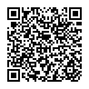 QR Code for Warabandi in Pakistan Canal Irrigation System- Widning gap Between Theory and Practice