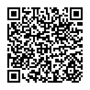 QR Code for The Green Revolution, Employment, and Economic Change in Rural Java