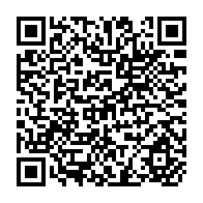 QR Code for The Economics Of Agricultural Policy