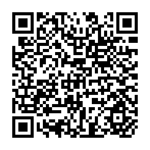 QR Code for Rural Local Government and Development Planning, with Experiences from Buhera District, Zimbabwe