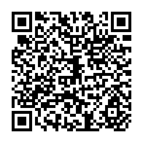 QR Code for The Development of Development Theory Towards Critical Globalism