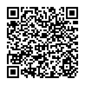 QR Code for Development Against The Odds - Prospects for Ngdo Strategies in Conflict-Ridden Countries:The Case of Secadev in Chad